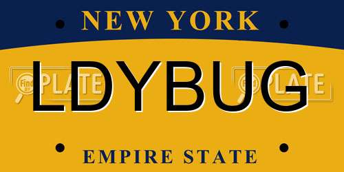 LDYBUG New York License Plate