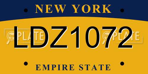 LDZ1072 New York License Plate