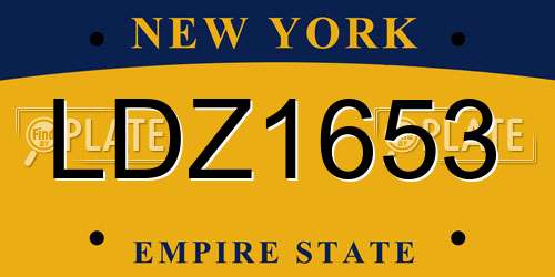 LDZ1653 New York License Plate