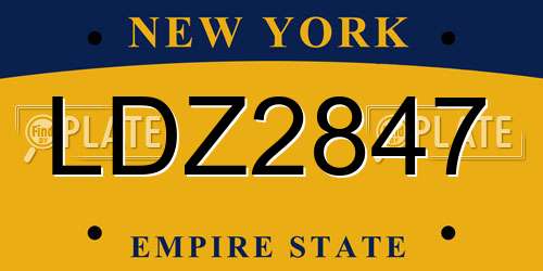 LDZ2847 New York License Plate