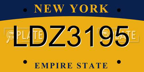 LDZ3195 New York License Plate
