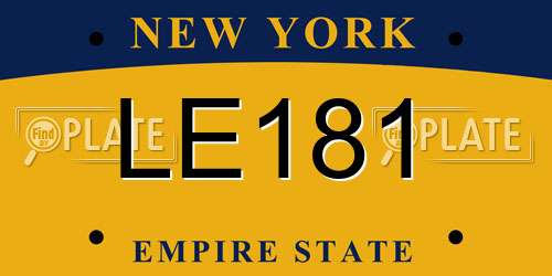 LE181 New York License Plate