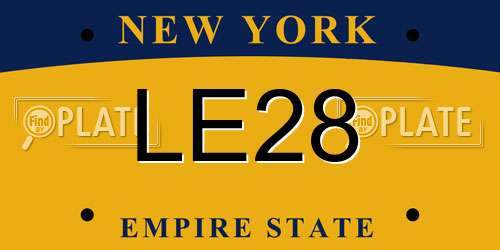 LE28 New York License Plate