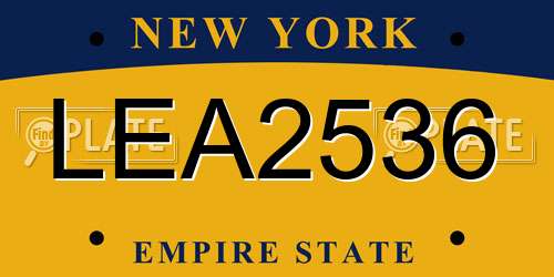 LEA2536 New York License Plate