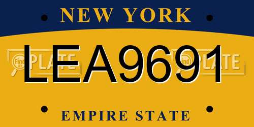 LEA9691 New York License Plate
