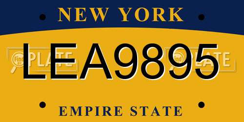 LEA9895 New York License Plate