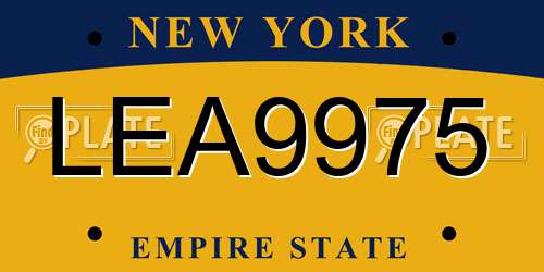 LEA9975 New York License Plate
