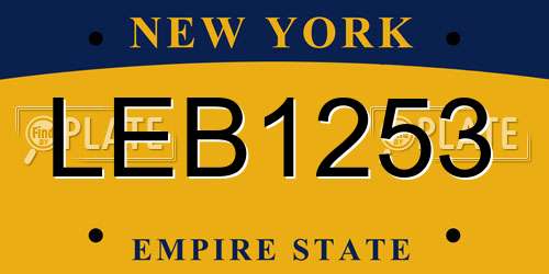LEB1253 New York License Plate
