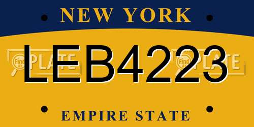 LEB4223 New York License Plate