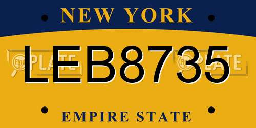 LEB8735 New York License Plate