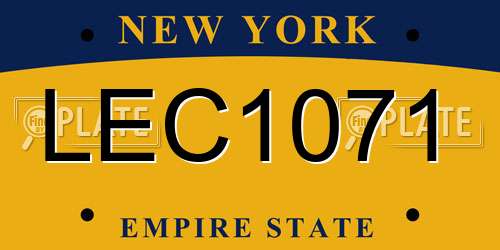LEC1071 New York License Plate