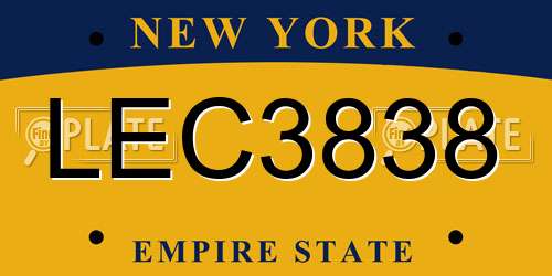 LEC3838 New York License Plate