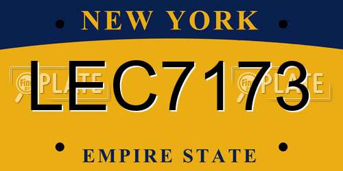 LEC7173 New York License Plate