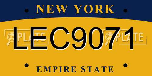 LEC9071 New York License Plate