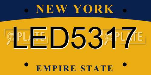 LED5317 New York License Plate