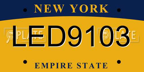 LED9103 New York License Plate