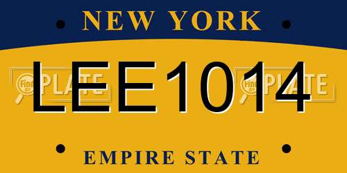 LEE1014 New York License Plate