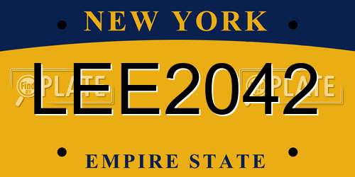 LEE2042 New York License Plate