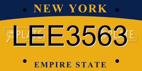 LEE3563 New York License Plate
