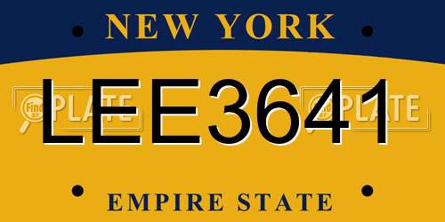 LEE3641 New York License Plate