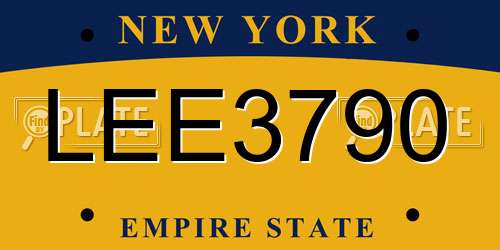 LEE3790 New York License Plate