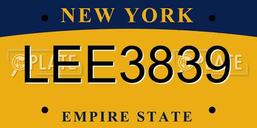 LEE3839 New York License Plate