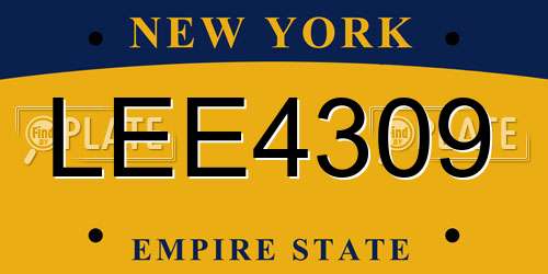 LEE4309 New York License Plate