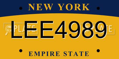 LEE4989 New York License Plate
