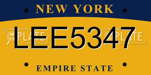 LEE5347 New York License Plate