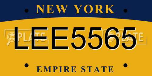 LEE5565 New York License Plate