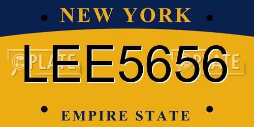 LEE5656 New York License Plate