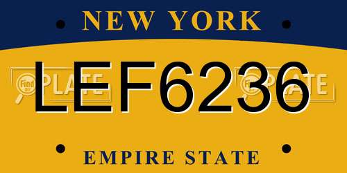 LEF6236 New York License Plate