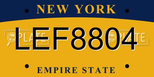 LEF8804 New York License Plate