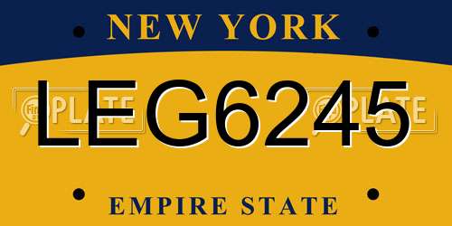 LEG6245 New York License Plate