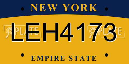 LEH4173 New York License Plate