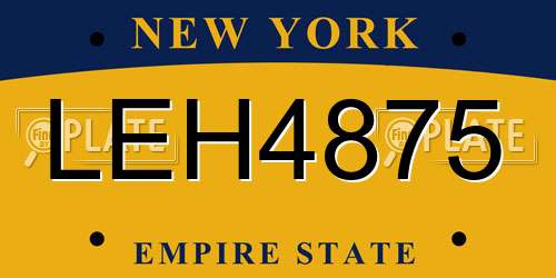 LEH4875 New York License Plate