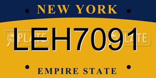 LEH7091 New York License Plate