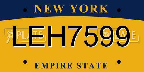 LEH7599 New York License Plate