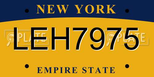LEH7975 New York License Plate