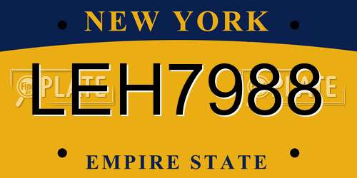 LEH7988 New York License Plate