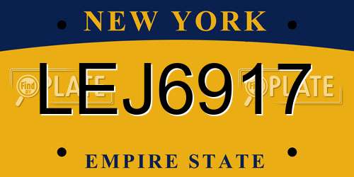 LEJ6917 New York License Plate