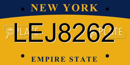 LEJ8262 New York License Plate
