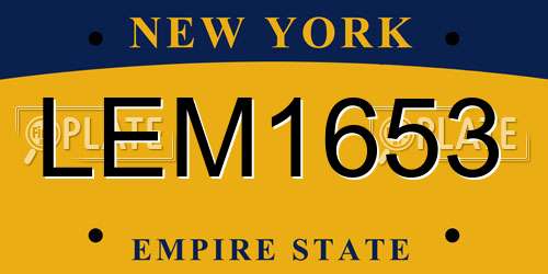 LEM1653 New York License Plate