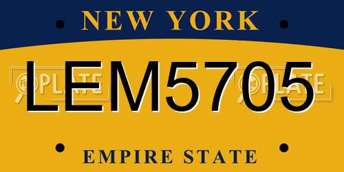 LEM5705 New York License Plate