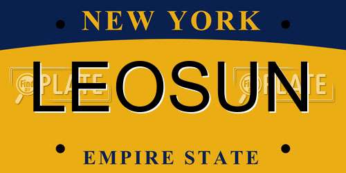 LEOSUN New York License Plate