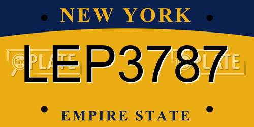 LEP3787 New York License Plate