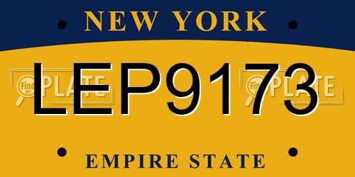 LEP9173 New York License Plate