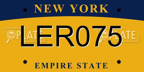 LER075 New York License Plate