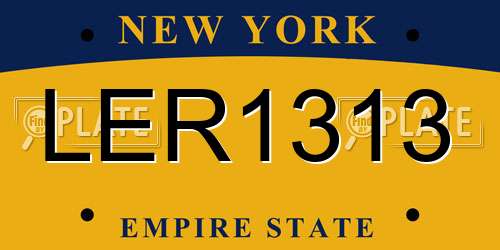 LER1313 New York License Plate