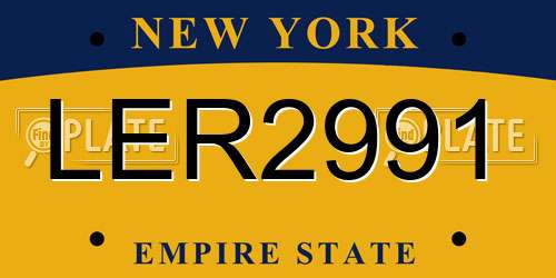 LER2991 New York License Plate